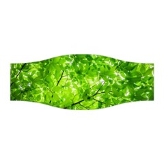 Green Wood The Leaves Twig Leaf Texture Stretchable Headband by Nexatart