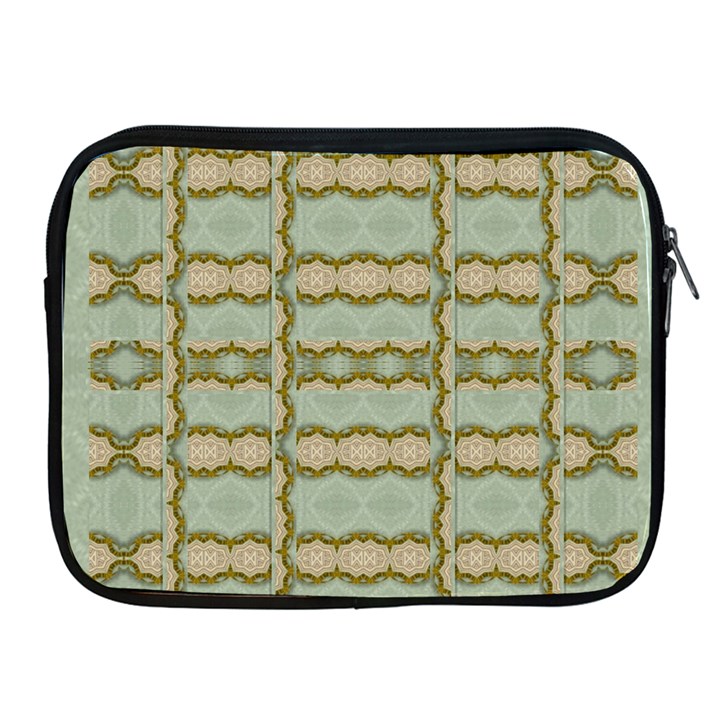 Celtic Wood Knots In Decorative Gold Apple iPad 2/3/4 Zipper Cases