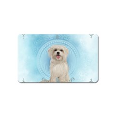 Cute Little Havanese Puppy Magnet (name Card) by FantasyWorld7