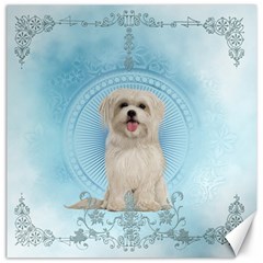 Cute Little Havanese Puppy Canvas 20  X 20   by FantasyWorld7