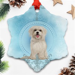 Cute Little Havanese Puppy Ornament (snowflake) by FantasyWorld7