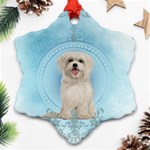 Cute Little Havanese Puppy Ornament (Snowflake) Front