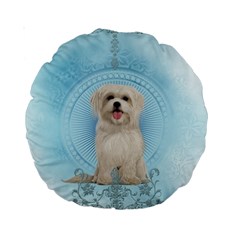 Cute Little Havanese Puppy Standard 15  Premium Round Cushions by FantasyWorld7