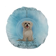 Cute Little Havanese Puppy Standard 15  Premium Flano Round Cushions by FantasyWorld7