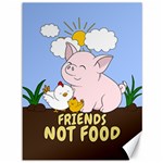 Friends Not Food - Cute Pig and Chicken Canvas 36  x 48   35.26 x46.15  Canvas - 1