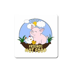 Friends Not Food - Cute Pig And Chicken Square Magnet by Valentinaart