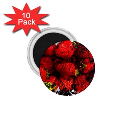 Strawberry Fruit Food Art Abstract 1 75  Magnets (10 Pack)  by Nexatart