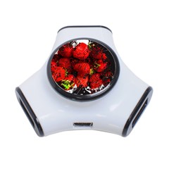 Strawberry Fruit Food Art Abstract 3-Port USB Hub