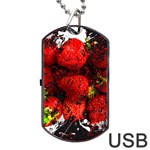 Strawberry Fruit Food Art Abstract Dog Tag USB Flash (Two Sides) Front