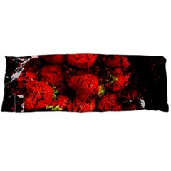 Strawberry Fruit Food Art Abstract Body Pillow Case (dakimakura)