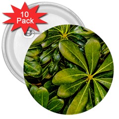 Top View Leaves 3  Buttons (10 Pack)  by dflcprints