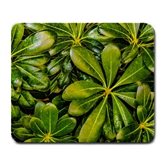 Top View Leaves Large Mousepads by dflcprints