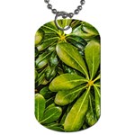 Top View Leaves Dog Tag (Two Sides) Front