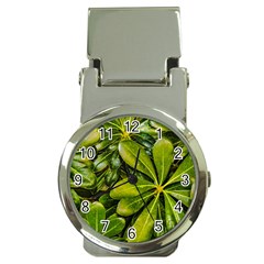 Top View Leaves Money Clip Watches by dflcprints