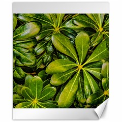 Top View Leaves Canvas 16  X 20   by dflcprints