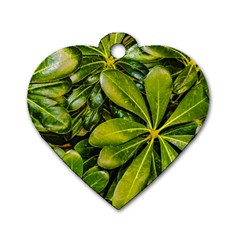 Top View Leaves Dog Tag Heart (one Side) by dflcprints