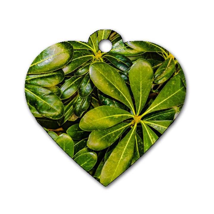 Top View Leaves Dog Tag Heart (Two Sides)