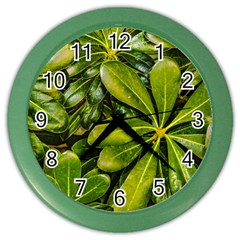 Top View Leaves Color Wall Clocks by dflcprints