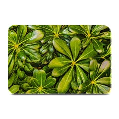 Top View Leaves Plate Mats by dflcprints