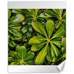 Top View Leaves Canvas 11  X 14   by dflcprints