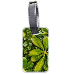 Top View Leaves Luggage Tags (two Sides)