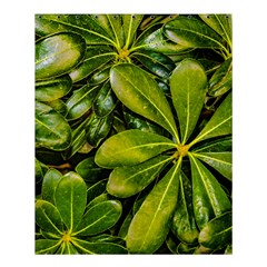 Top View Leaves Shower Curtain 60  X 72  (medium) 