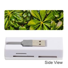 Top View Leaves Memory Card Reader (stick)  by dflcprints