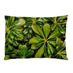 Top View Leaves Pillow Case (two Sides) by dflcprints