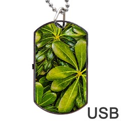 Top View Leaves Dog Tag Usb Flash (one Side) by dflcprints