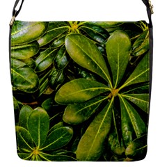 Top View Leaves Flap Messenger Bag (s) by dflcprints