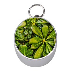 Top View Leaves Mini Silver Compasses by dflcprints