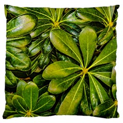 Top View Leaves Standard Flano Cushion Case (one Side) by dflcprints