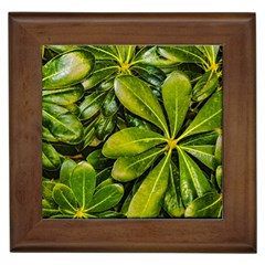 Top View Leaves Framed Tiles by dflcprints