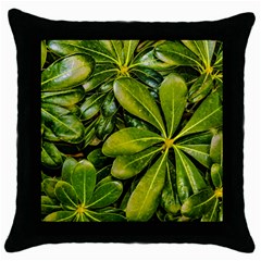 Top View Leaves Throw Pillow Case (black) by dflcprints