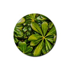 Top View Leaves Rubber Round Coaster (4 Pack)  by dflcprints