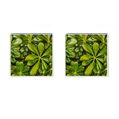 Top View Leaves Cufflinks (square) by dflcprints