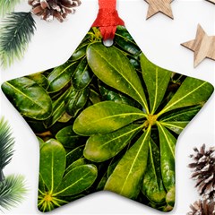 Top View Leaves Star Ornament (two Sides) by dflcprints