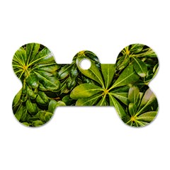 Top View Leaves Dog Tag Bone (two Sides) by dflcprints