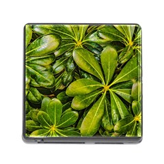 Top View Leaves Memory Card Reader (square) by dflcprints