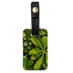 Top View Leaves Luggage Tags (one Side)  by dflcprints