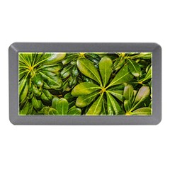 Top View Leaves Memory Card Reader (mini) by dflcprints