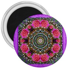 Roses In A Color Cascade Of Freedom And Peace 3  Magnets by pepitasart