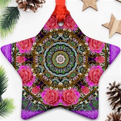 Roses In A Color Cascade Of Freedom And Peace Ornament (star) by pepitasart