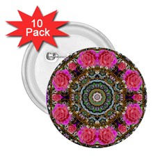 Roses In A Color Cascade Of Freedom And Peace 2 25  Buttons (10 Pack)  by pepitasart