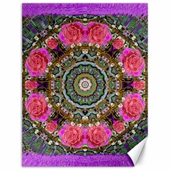 Roses In A Color Cascade Of Freedom And Peace Canvas 12  X 16   by pepitasart