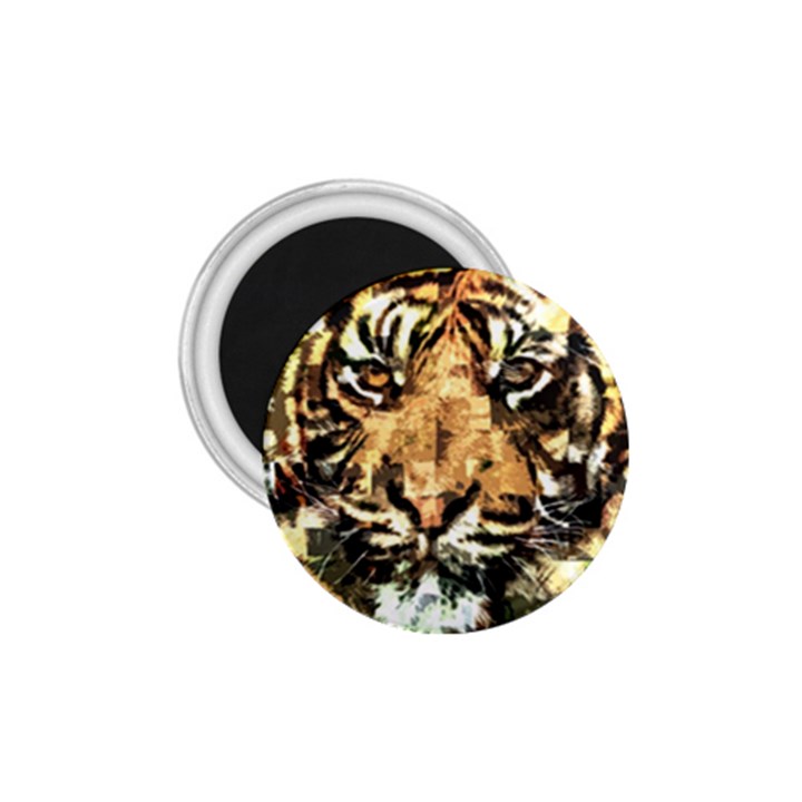 Tiger 1340039 1.75  Magnets