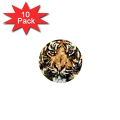 Tiger 1340039 1  Mini Magnet (10 Pack)  by 1iconexpressions