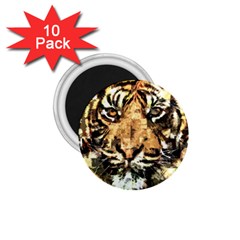 Tiger 1340039 1 75  Magnets (10 Pack)  by 1iconexpressions