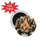 Tiger 1340039 1.75  Magnets (100 pack)  Front