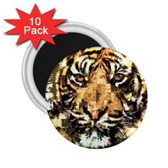 Tiger 1340039 2 25  Magnets (10 Pack)  by 1iconexpressions